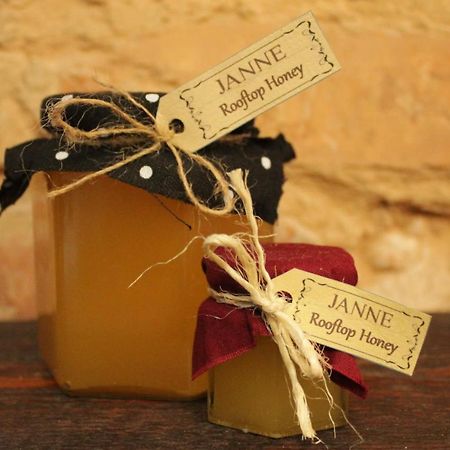 Janne Hotel Ρίγα Εξωτερικό φωτογραφία