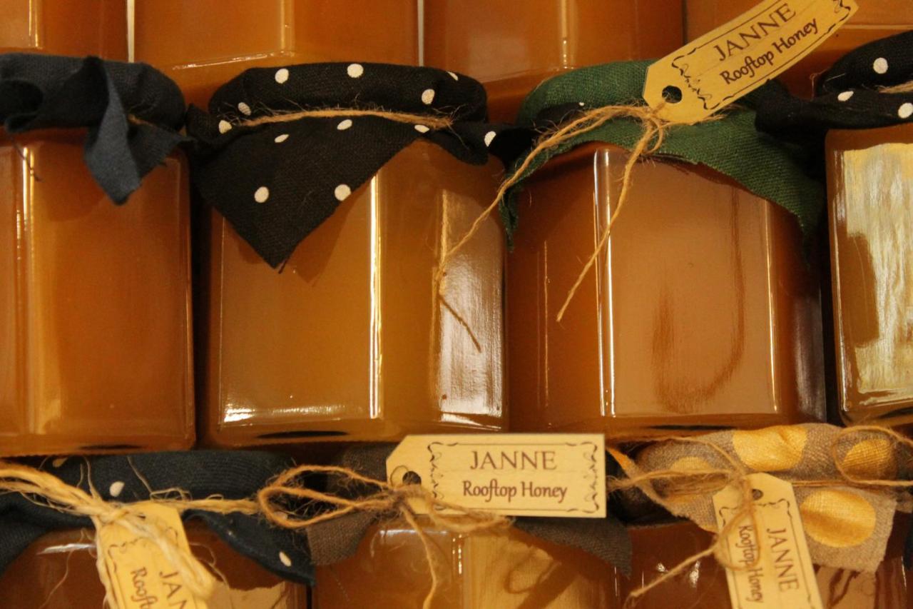 Janne Hotel Ρίγα Εξωτερικό φωτογραφία